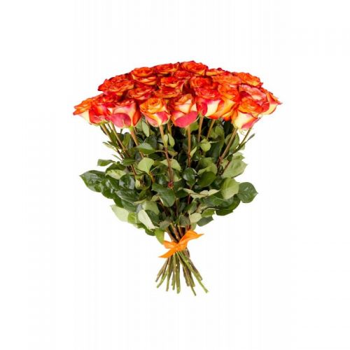 Купить 31-ну оранжевую розу с доставкой по Дмитрову