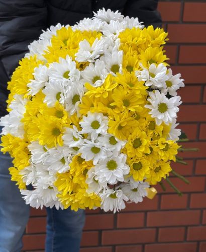 Купить букет из разноцветных хризантем с доставкой по Дмитрову